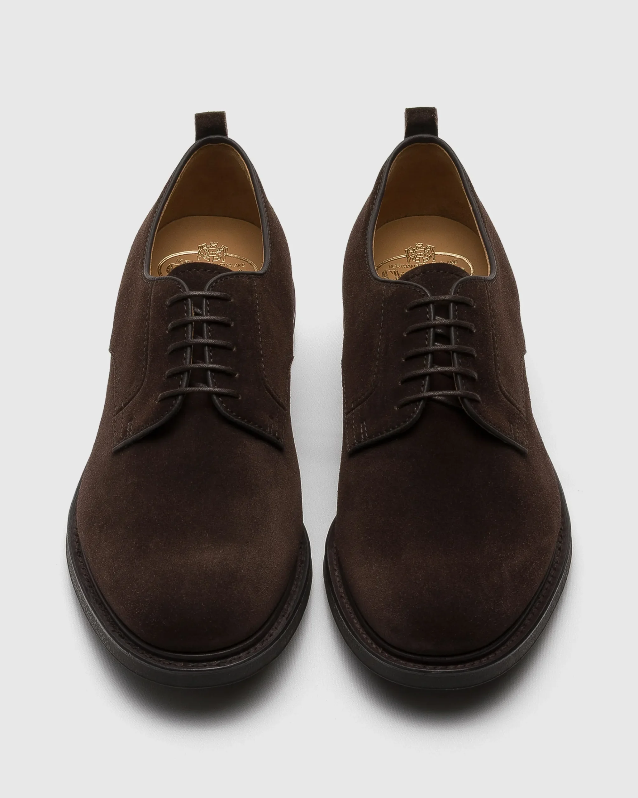 Pentire - Suede Derby
