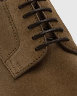 Pentire - Suede Derby