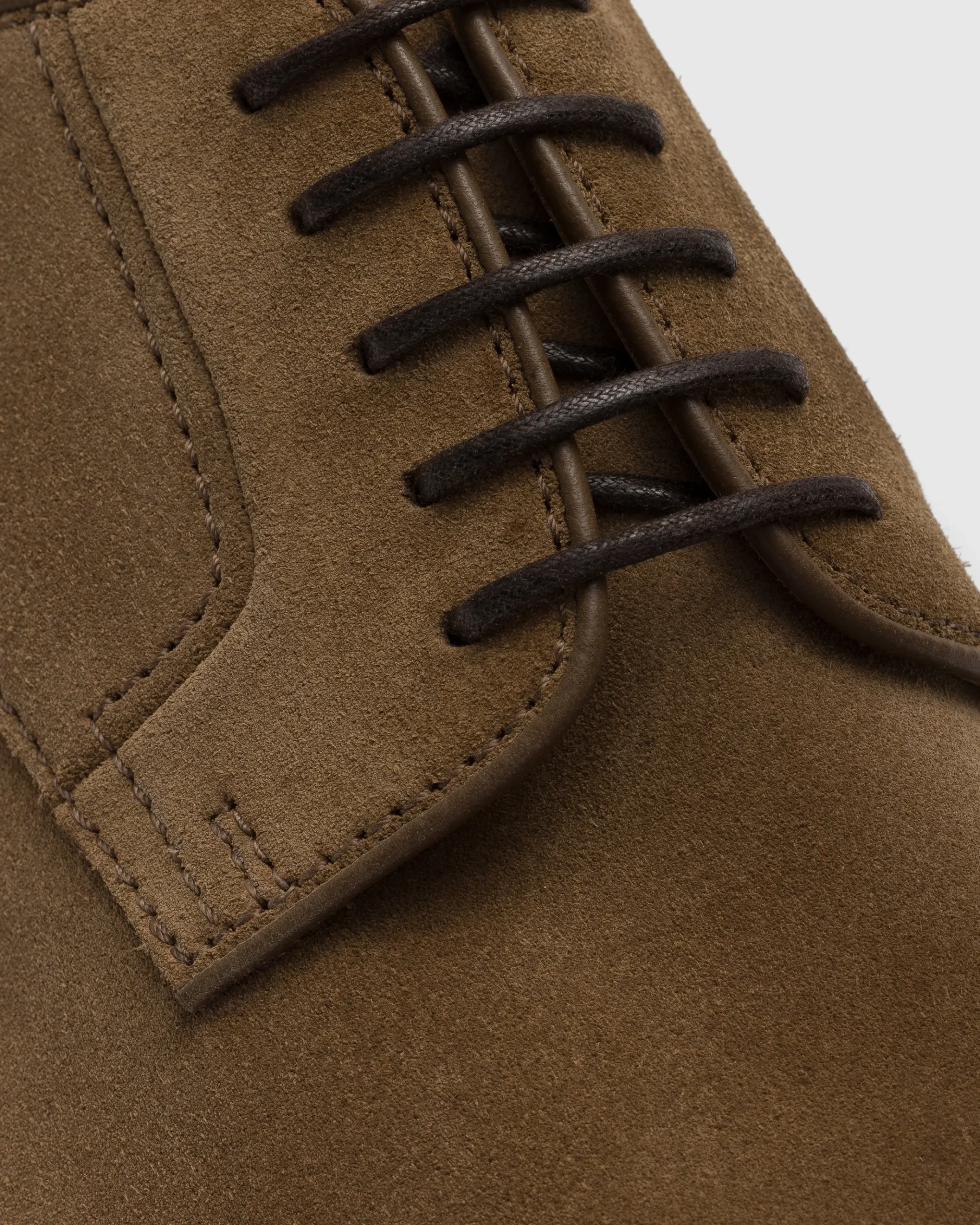 Pentire - Suede Derby