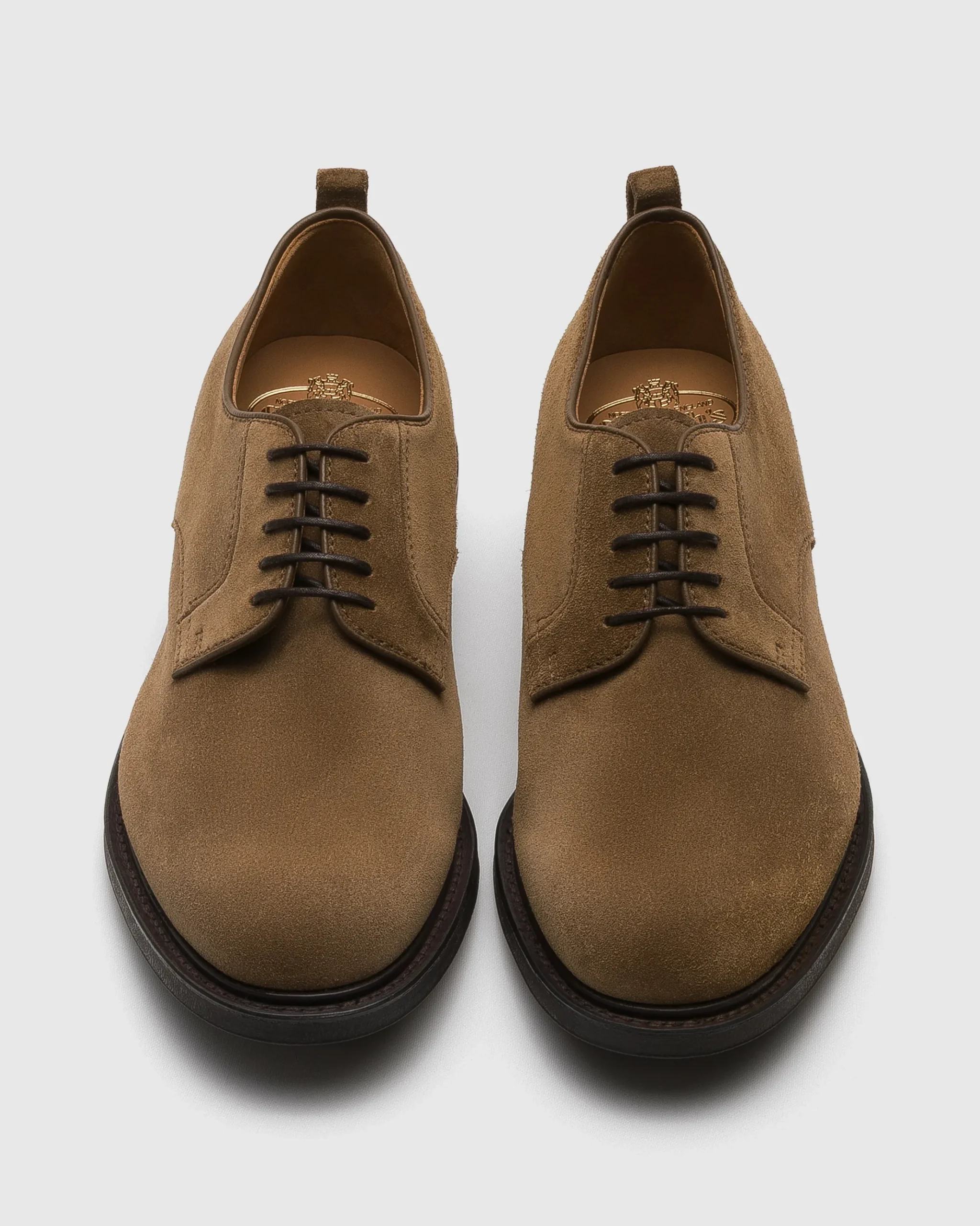 Pentire - Suede Derby